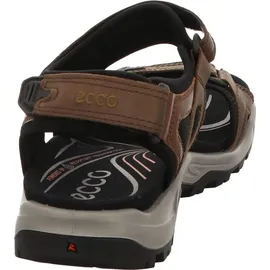 ECCO Offroad Herren espresso/cocoa 43