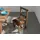 Massivmoebel24 Stuhl Altholz 45x45x95 mehrfarbig
