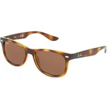 152/73 48-16 tortoise/brown classic