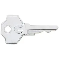 daniplus Schüssel Nr. H 277, Ersatzschlüssel passend für Liebherr Gewerbekühlschrank, Flaschenkühlschrank - Nr.: 7042961