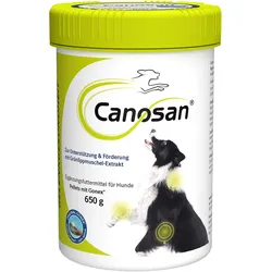 Canosan Pellets bei Gelenkproblemen für Hund