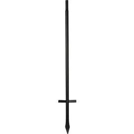 Star Trading LED-Erdspieße 2er-Set