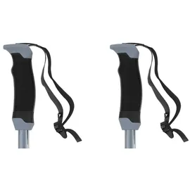 Atomic Amt Sqs Alpin-Skistöcke, grau - 115