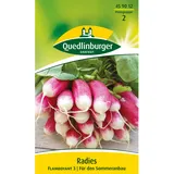 Quedlinburger Radies ''Flamboyant 2''