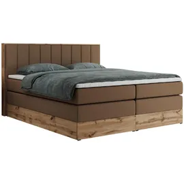 MKS Bellissimo King 160 x 200 cm H3 Braun