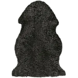 Heitmann-Felle Lammfell Curly Fellteppich 60 x 100 cm Schwarz