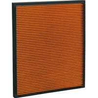 Ideal Filter AP100