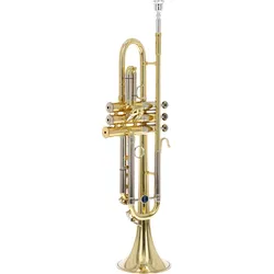 B&S "Personality" Bb-Trompete Martin Hutter L - Perinettrompete