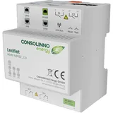 Consolinno Leaflet HEMS