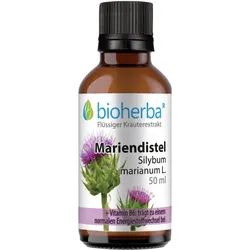 Mariendistel