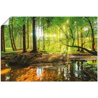ARTland Artland, Bilder, »Wald mit Bach«, T9IO (90 x