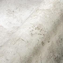 A.S. Création Vliestapete Uni Betonoptik Grau Beige