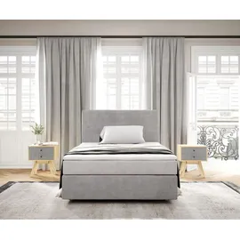 DeLife Dream-Well 120 x 200 cm H2/H3 silbergrau 
