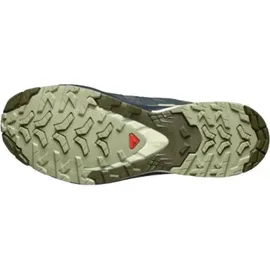 Salomon XA Pro 3D V9 GTX Herren India Ink/Olive Night/Aloe Wash 46