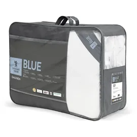 SPESSARTTRAUM Blue Extra warme Daunendecke 200x200 cm