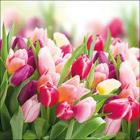 Ambiente Home Glorious Tulips - Servietten 33x33 cm