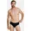 Briefs XL