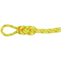 Mammut 9.5 Alpine Core Protect Dry Kletterseil (Größe 80M, gelb)