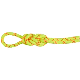 Mammut 9.5 Alpine Core Protect Dry Kletterseil (Größe 80M, gelb)