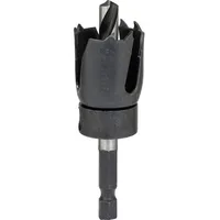 Bosch Accessories 2609256D04 Lochsäge 48 mm 1 St.