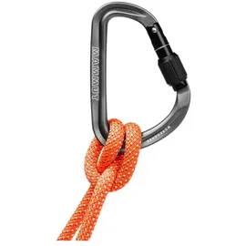 Mammut HMS-Karabiner Grau