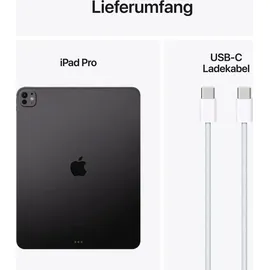 Apple iPad Pro 11" (5. Generation 2024) 256 GB Wi-Fi Space Schwarz
