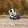 Waldhausen Hundemantel 200 g Blau 35 cm