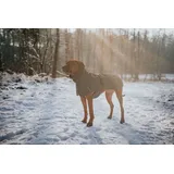 Hunter Hundemantel Nordby 65 oliv