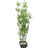 Europalms Zierbambus in Dekoschale, 120cm