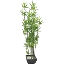 Europalms Zierbambus in Dekoschale, 120cm