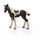 Schleich 17084 Pinto Fohlen Spielfigur