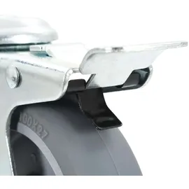 vidaXL 12 Stk. Lenkrollen mit Rückenloch 100 mm