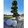 Trango Kugelleuchte 3er Set weiß 20/30/40 cm inkl. 3x 4 Watt E27 LED Leuchtmittel