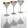 Stölzle Lausitz Elements Cocktailglas 0,24 l 6 St.