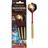 BULL'S Success Steel Dart, Gold, 20g