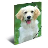 Herma Sammelmappe Tiere A3 hunde