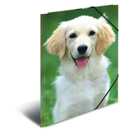 Herma Sammelmappe Tiere A3 hunde