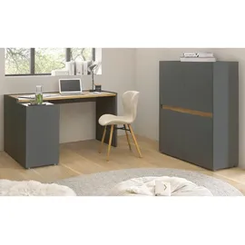 furn.design Aktenschrank, grau Eiche Wotan Holzwerkstoff, Nachbildung,Eiche, 4 Fächer, Rechteckig, 100x122x40 cm, Arbeitszimmer, Aktenschränke