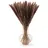 Blumtal Pampasgras Trockenblumen - Pampasgras 50 Stück, 58-60 cm, für Trockenblumenstrauß oder Trockenblumen Deko, Pampasgras Deko Boho Style in Pampasgras naturbraun