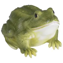 Bambelaa! Gartenfiguren Für Draußen Wetterfest Gartendeko Gartendekoration Frosch/Kröte Gartenstatuen Groß Deko Garten Figuren Teich Dekofigur Karlo aus Polyresin ca. 19 x 14 x 12cm