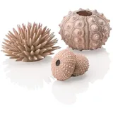 biOrb Aquariendeko Seeigel Set natural