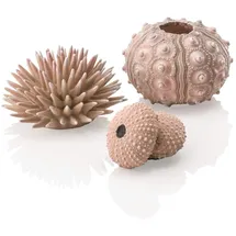 biOrb Aquariendeko Seeigel Set natural