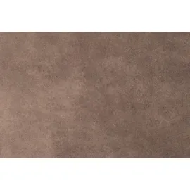 Hela Tische, 2er Set Esszimmerstuhl Ulla, S