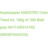 Mondi MAESTRO color, Kopierpapier A4, 160g 250BL grau