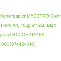 Mondi MAESTRO color, Kopierpapier A4, 160g 250BL grau
