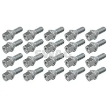 Swag Radschraube 99 90 7066