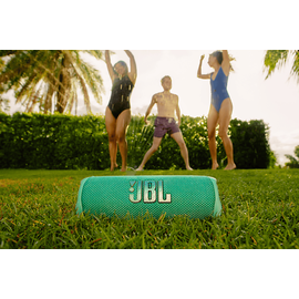 JBL Flip 6 khaki