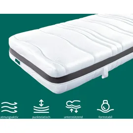 fan ProVita First Class T 140 x 200 cm H4 Polyester Bezug