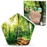 Olympia Olymp Nature BOX