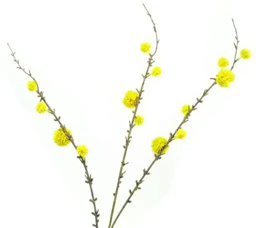Distel Zweig x3 98cm gelb